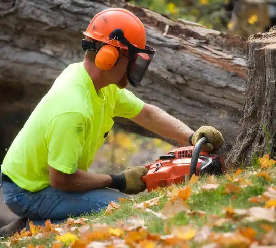 tree services Ada